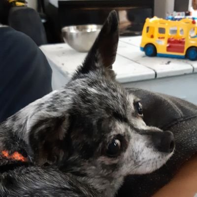 kegtoos's profile picture. ok