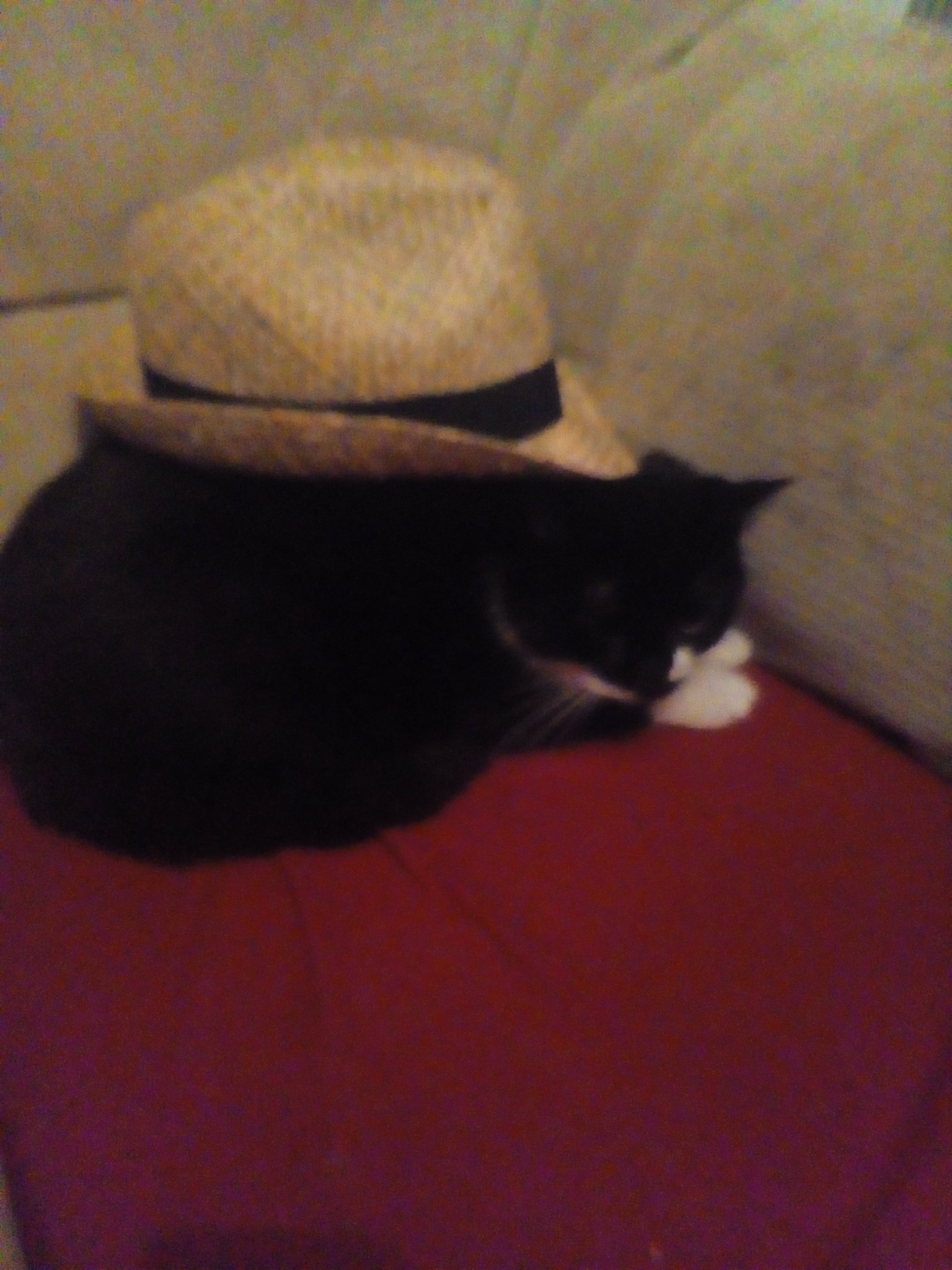 tecdomination's profile picture. 