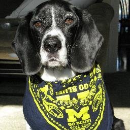 Your pets with their #GoBlue spirit! Plus, @UMich and B1G randomness. Tweet pics of your @UmichPets. Inspired by Lucky (profile pic). Created by @MattStylesDJ