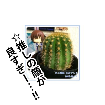 w_ts_12's profile picture. テニスが〜〜〜おれのす〜べ〜て〜〜〜〜〜