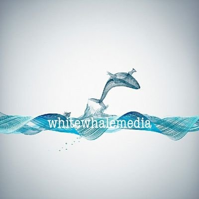 Whitewhale Media