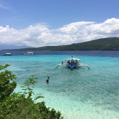 Anicoph's profile picture. 平和と安定をなにより望んでた人