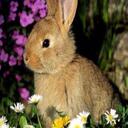 Laura Noll - @lgnoll - Twitter