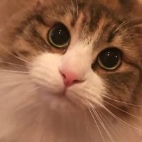 クンニン大好きオヤジ (@mparb5) 's Twitter Profile