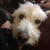 Paul Muncey (@muncey_paul) Twitter profile photo Paul Muncey (@muncey_paul) Twitter profile photo