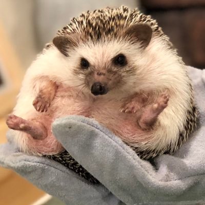 マレーネさんのプロフィール画像