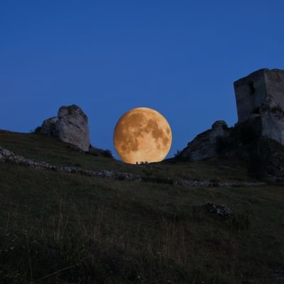 glob_tron's profile picture. travel, photography, film, animation