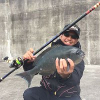 パープル君 (@gamakatsuf) Twitter profile photo