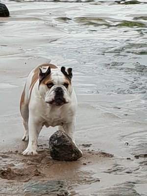 JoanneC21323686's profile picture. Life is for living not sitting on the side wishing. Grab it with both hands and do your thing 😍