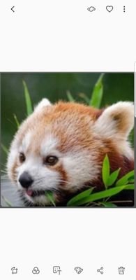 KaNiZup's profile picture. 