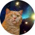 ねこ (@tontorocat) Twitter profile photo ねこ (@tontorocat) Twitter profile photo