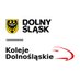 Koleje Dolnośląskie (@KolejeD) Twitter profile photo