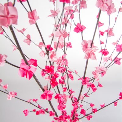 kirinori2018's profile picture. 