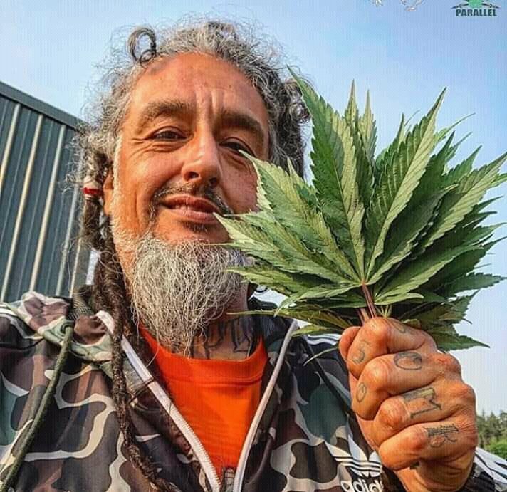 Are you depressed, suffering from cancer, glaucoma, headache,insomnia,joint pains, multiply sclerosis, muscle spasms, nausea, etc and need top quality marijuana