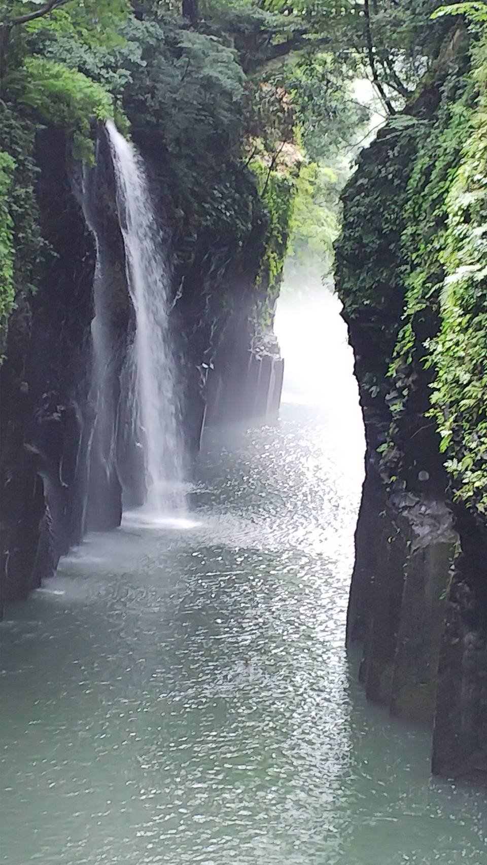 osugi3003's profile picture. 