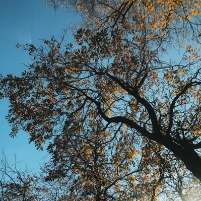 peterharris87's profile picture. 