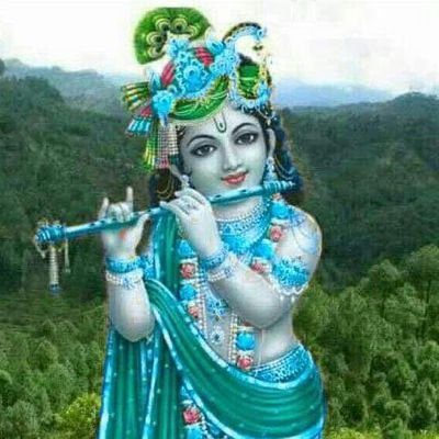 muskan0211's profile picture. 