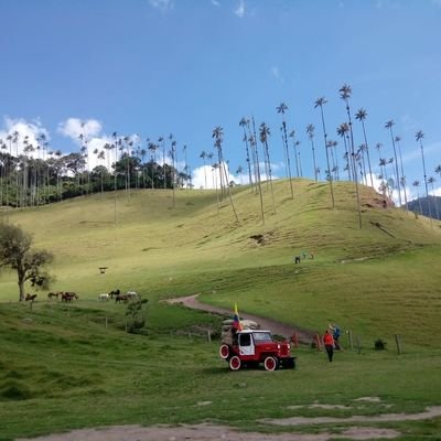 Eje Cafetero - Armenia - Colombia. RINOL PISOCRETO S.A.S #1 lider mundial en pisos industriales, ALL IN ONE!!!