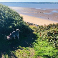 Safer West Kirby (@saferwestkirby) 's Twitter Profile