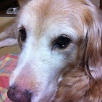 Sophia (@sophia48549013) Twitter profile photo