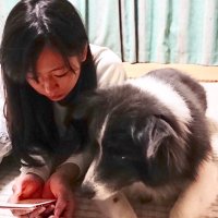 Haruka (@_haru0904) 's Twitter Profile