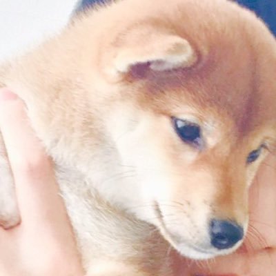 まるさんのプロフィール画像