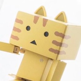 いけすのこいさんのプロフィール画像
