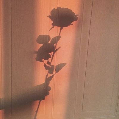 PgyB9p6iRKGvHjl's profile picture. 