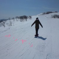 てぃらみすゆみこ(@thumagiku) 's Twitter Profile Photo