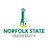 Norfolkstate's avatar