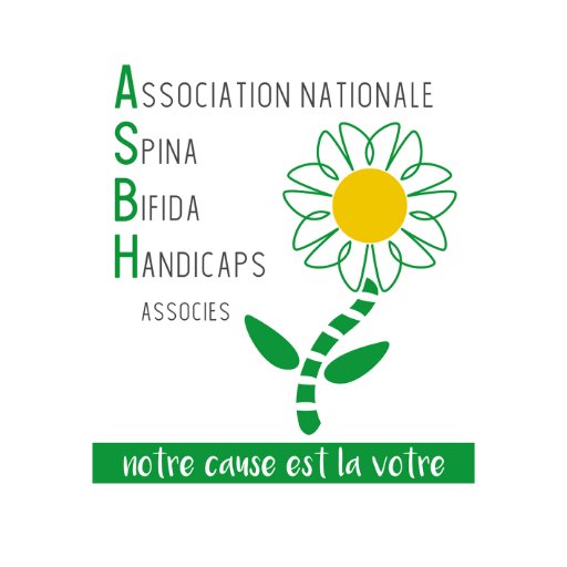 Association #SpinaBifida et #Handicaps associés. Soutien et développement de la recherche sur le spina bifida, les Défauts de Tube Neural et l'#incontinence.