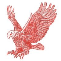 News & Star Sport (@newsstarsport) 's Twitter Profile Photo