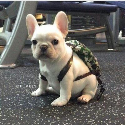 Moolyly27's profile picture. ทาเคชิต😘