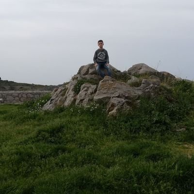 Bernii40239613's profile picture. Berni🤡