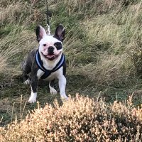 Emma Rowley (@maudy832) 's Twitter Profile
