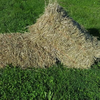 MiluHay's profile picture. Business hours:
Sunday - closed 
Monday - closed 
Tuesday - 9am to 7pm 
Wednesday - 9am to 7pm 
Thursday - 9am to 7pm 
Friday - 1pm to 7pm 
Saturday - 9am to 5p