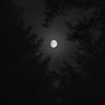 monotharch's profile picture. Nimu to the nephews. Bill I was in my youth in the west that is forgotten. In the south, Henry. In the north, Nomolas. To the east I go not.