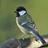 Rachana_Ag's profile image