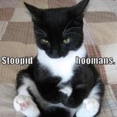 RelatableThou17's profile picture. Just thoughts that people can relate too on a daily basis.