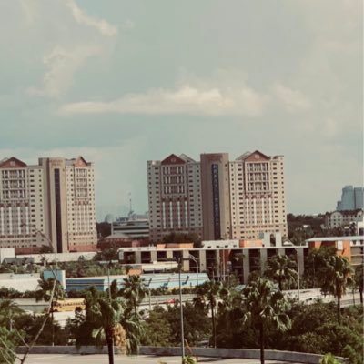 pugpie3's profile picture. 