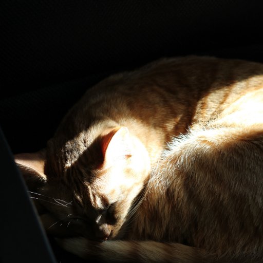 masonzerobackup's profile picture. Backup account for @masonzero, and to enter contests with. Message me on here on on my main Twitter.