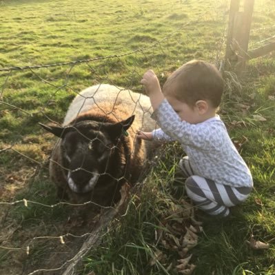 JeremyCharman's profile picture. Pest Control and Grounds maintenance contractor. keeper of a small flock of sheep to produce lamb and mutton for sale. Fan of any full contact motor racing.