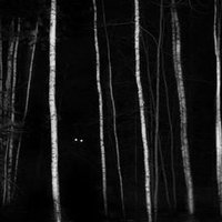 Forest Of Monsters (@forestofmonster) 's Twitter Profile Photo Forest Of Monsters (@forestofmonster) 's Twitter Profile Photo