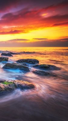 Finalfr41175987's profile picture. Alter M