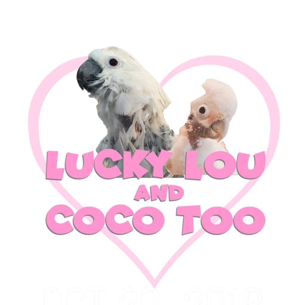 @luckyloucocotoo