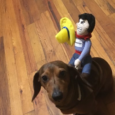 FE_JenMeierotto's profile picture. Solution Sales Specialist in Eastern Iowa #SmartFarmingIs