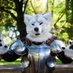 Triafis - The Sword Wolf (@triafis1) Twitter profile photo Triafis - The Sword Wolf (@triafis1) Twitter profile photo