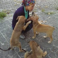 Hülya balcı (@patikoy37) Twitter profile photo