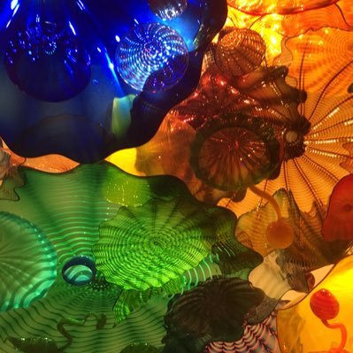 samuel_vargas99's profile picture. 