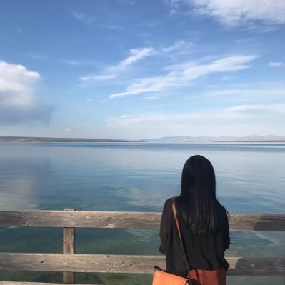 Michelle__Wu's profile picture. 